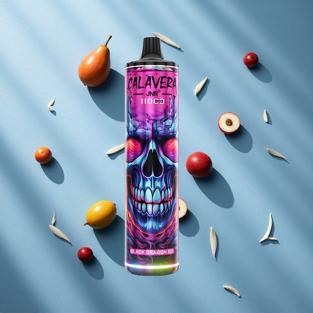 JNR Calavera 11000 Puffs نوع-C شاحن تنين أسود جليدي