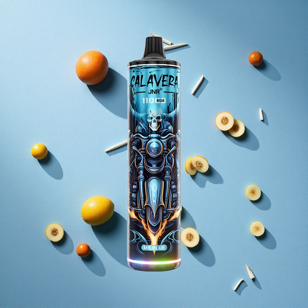 JNR Calavera 11000 Puffs بخاخة يمكن التخلص منها Mr Blue الأزرق مع Type-C وشاحن 850 مAh