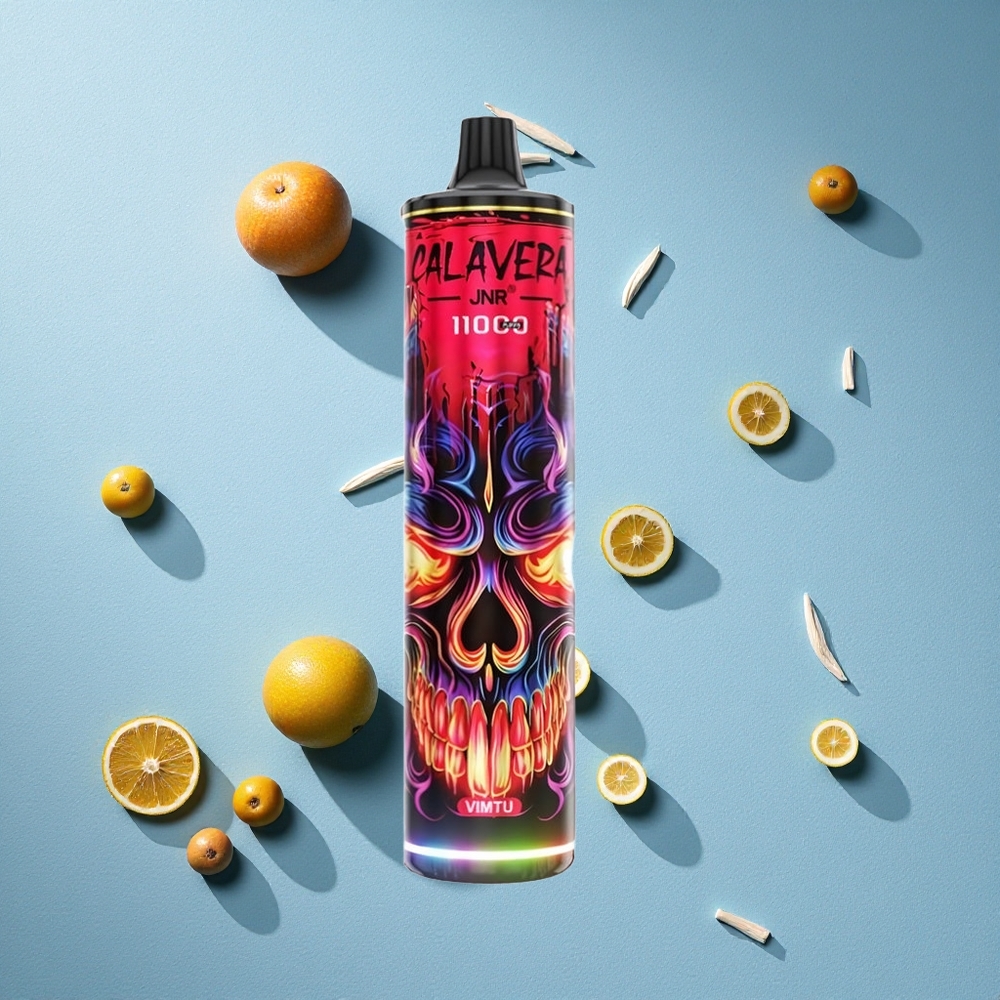 JNR Calavera 11000 نفخة سجارة إلكترونية قابلة للتصرف بشاحن Type-C وسعة بطارية 850 ملي أمبير