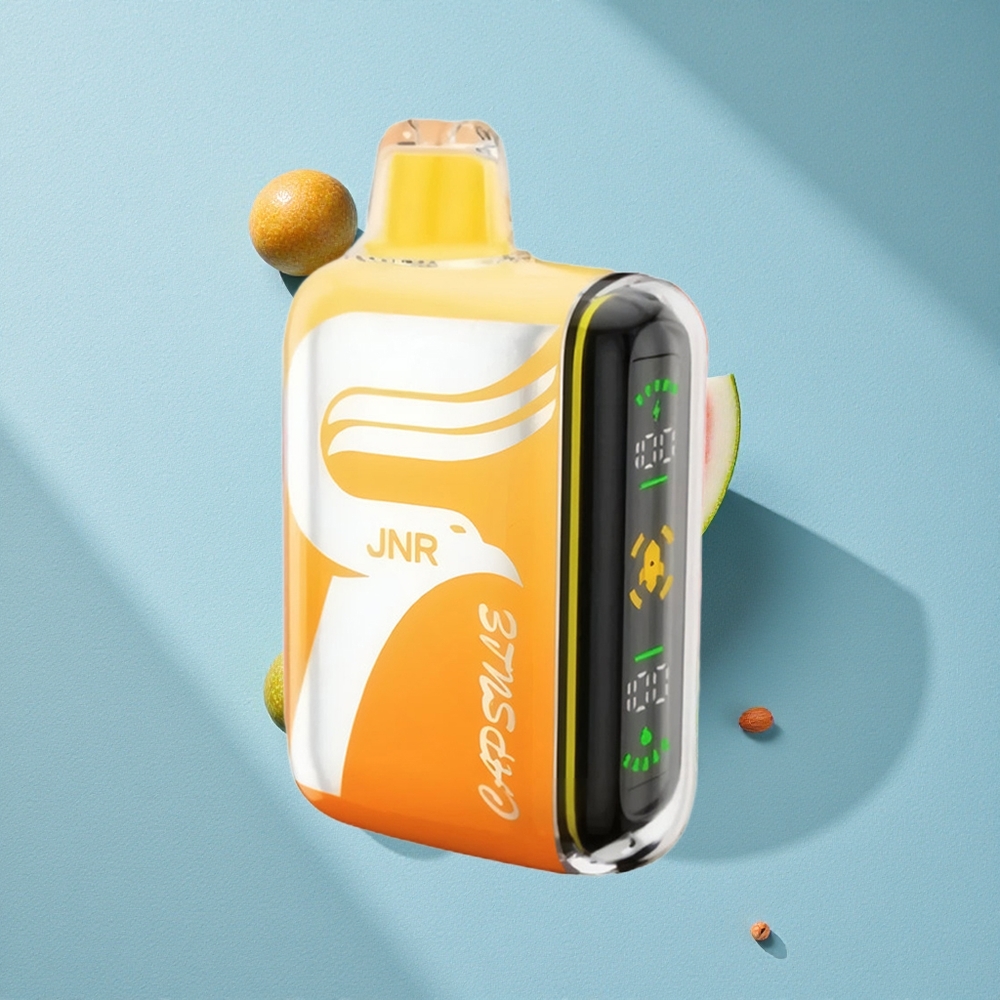 JNR Capsule 15000 Puffs دفعة مزدوجة شبكة بطارية 850mAh بطيخ إيرشي