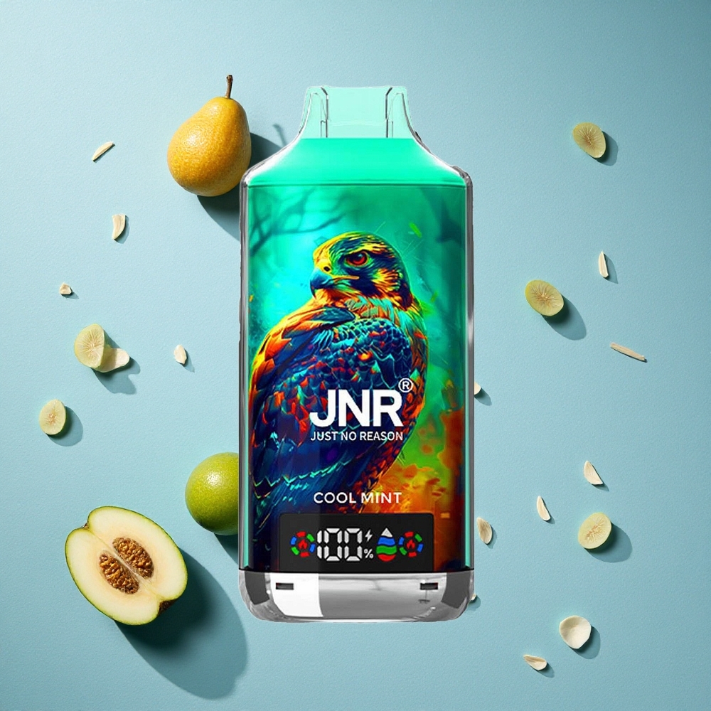 JNR Falcon X 18000 Puffs نعناع منعش بسعة 24مل وشاشة رقمية