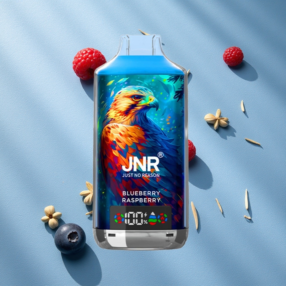JNR Falcon X 18000 Puffs توت أزرق وتوت العليق بشاشة رقمية وشاحن Type-C