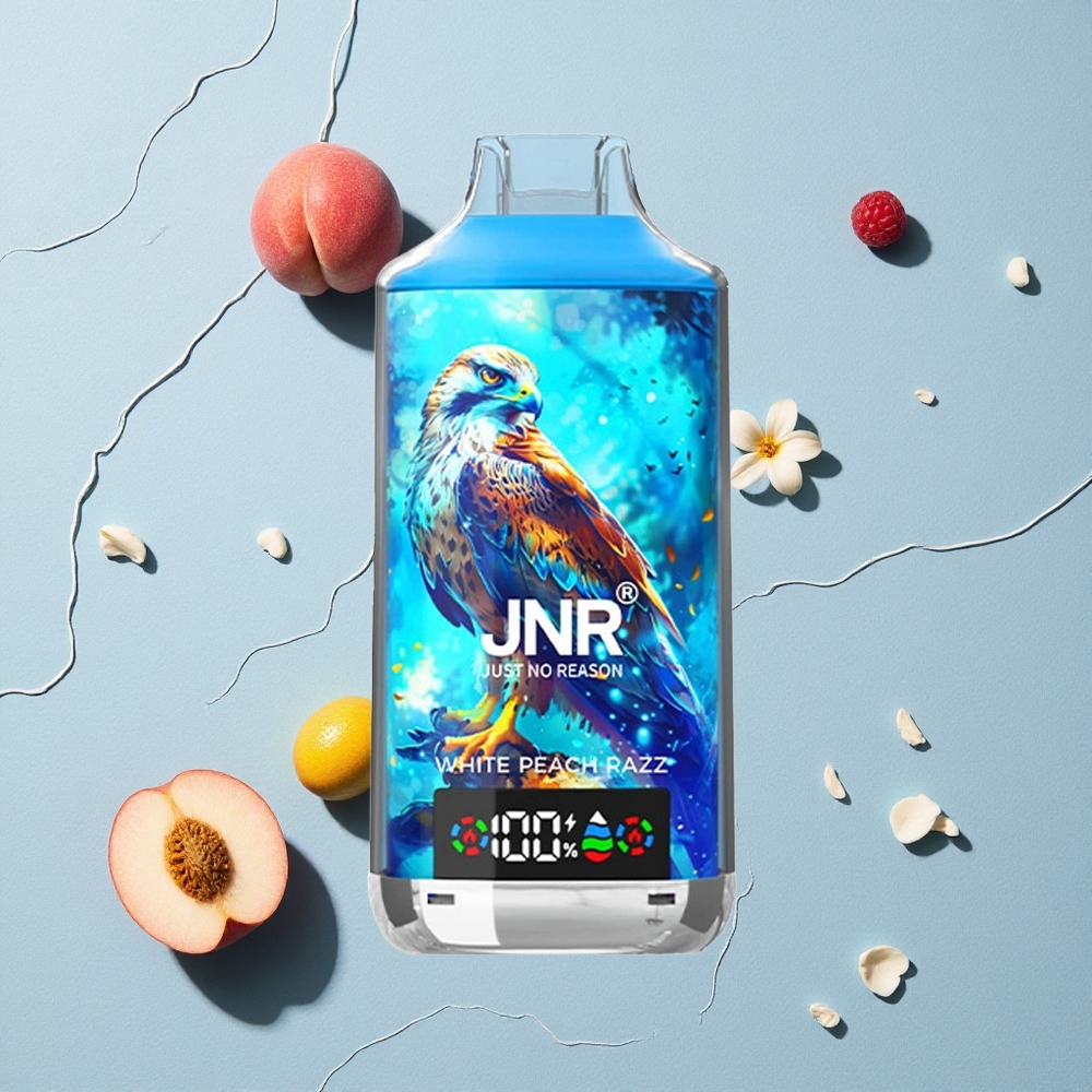 JNR Falcon X 18000 Puffs خوخ أبيض وتوت أحمر شاشة رقمية وشحن سريع Type-C