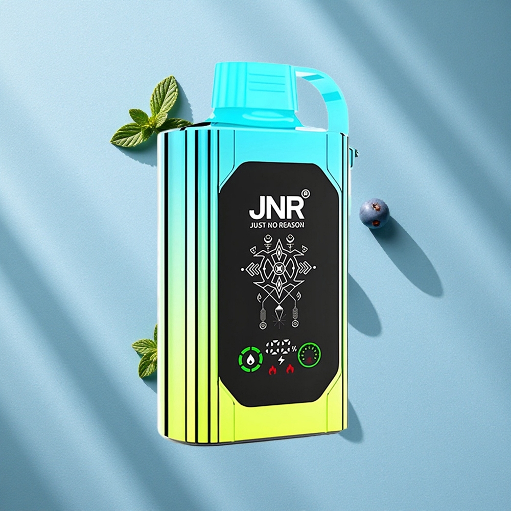 JNR Shisha Hookah Box 20500 Puffs نعناع توت أزرق شاشة عالية الدقة ونوع-C شحن سريع